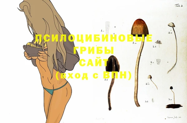 jwh Абаза