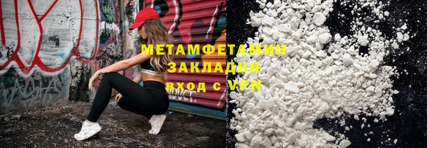 прущие грибы Сафоново