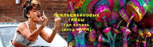 прущие грибы Сафоново